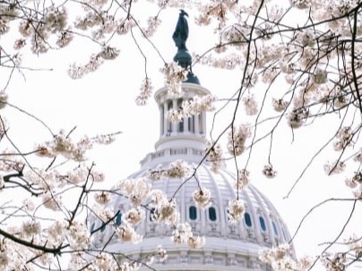 US Captitol Building signifying Hallmark AI in Governance